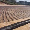 Whole Sale Geogrid Price Uniaxial Plastic for Retaining Wall Road Pavement Reinforcement