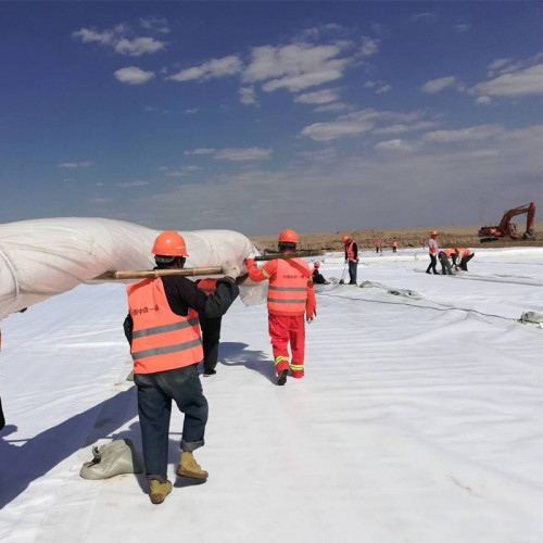 Earthwork Products 500GSM Nonwoven Fabric Geotextile for Dam Project