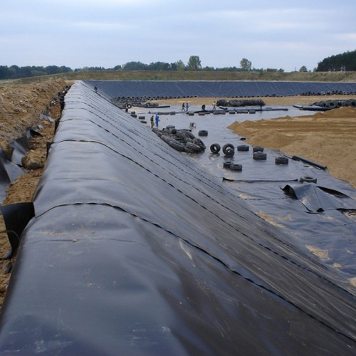 Construction Material HDPE Geomembrane for Fish Pond Tank Dam Liner