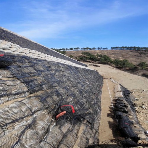 PP plastic geogrid Factory price uniaxial biaxial geogrid