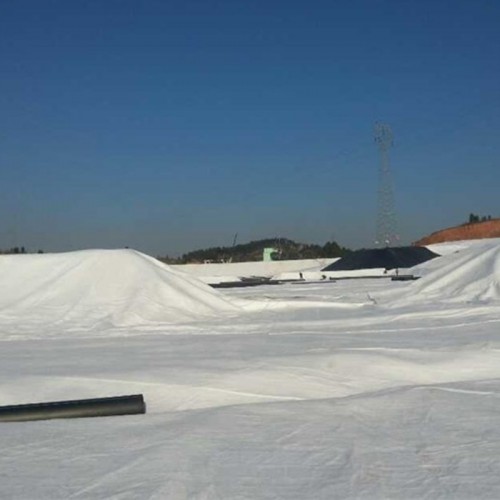 Factory Price 150g 200g 300g 400g 500g 800g 1000g Reinforced PP/Pet Non-Woven Fabric Geotextile
