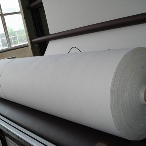 Factory Price 150g 200g 300g 400g 500g 800g 1000g Reinforced PP/Pet Polyester Woven/Nonwoven Geotextile Price for Road Construction