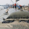 Geotextile Polpropylene PP Tubes Roll Geotube for Bank Erosion Protection Sand Bags for Flood Protection