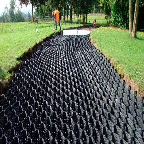 High Quality Grass Grid Pavers Hdpe Geocell