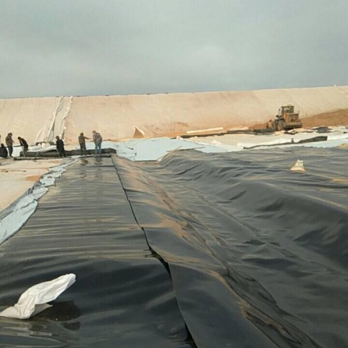 Flexible Membrane Liner HDPE Geomembrane 1.0mm 1.5mm HDPE Impermeable Membrane for Dam Project in Argentina