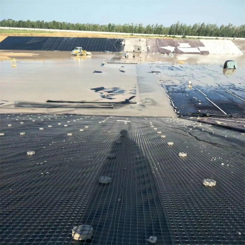 geogrid