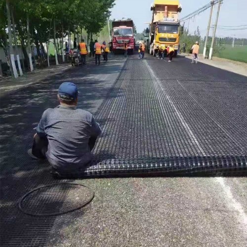 PET Polyester Geogrid Used for Bridge Construction