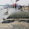 Sludge Dewatering Dewatering PP Woven Geotextile Geo Bag Geotube