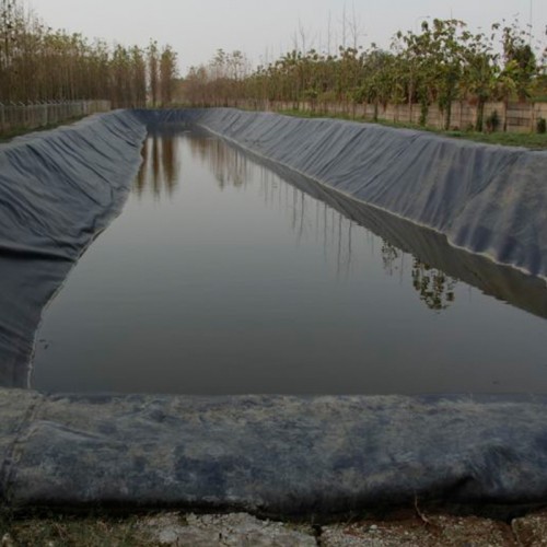 0.25-2.5mm Aquaculture HDPE Lining HDPE Geomembrane Dam Liner
