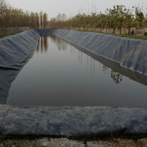 Smooth/Textured ASTM Virgin Material Reinforced HDPE/LLDPE/LDPE Geomembranes for Fish/Shrimp Farm Pond Liner with Direct Factory Price