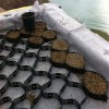 Textured And Perforated HDPE Geocell Ground Enhancement Cellular System Geo Cell