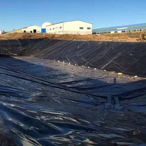 2mm hdpe geo membrane geomembrane dam fish farm tank pond liner