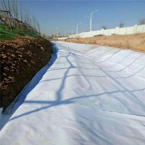 Factory Price 150g-800g Reinforced PP/Pet Polyester Nonwoven Geotextile Price for Road Construction
