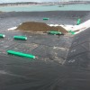 Smooth with Factory Cheap Price Waterproof Material Geomembranefor River Levee/Tarps/Tailing Reservoir/Lake Plastic Liner