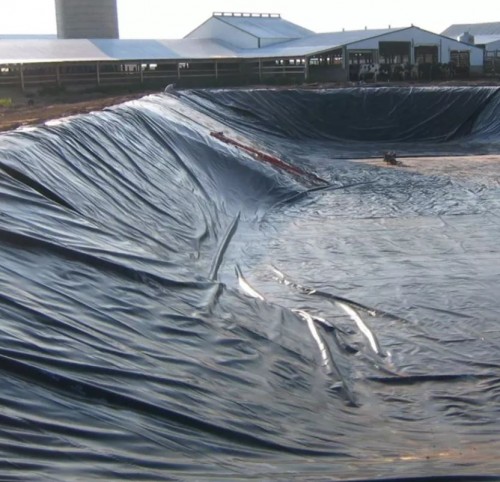 Geomembrane HDPE