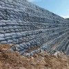 Hight Strength Polypropylene PP Uniaxial Geogrid for Retaining Walls/Uniaxial Geogrids for Soil Reinforcement