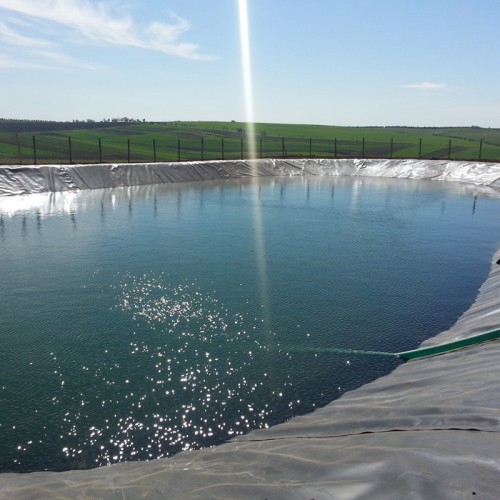 Factory Price 0.2-2.5mm Pond Liner PVC/HDPE/LDPE/LLDPE Plastic Geomembrane Sheet