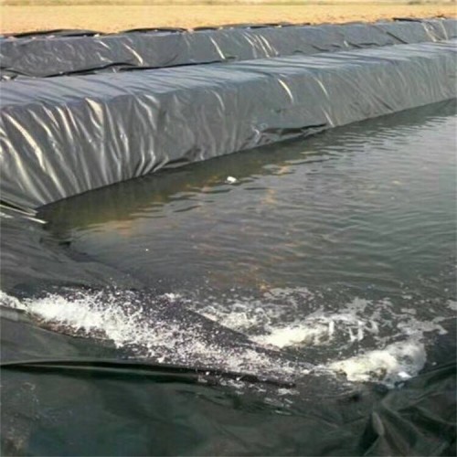 Building Material HDPE Geomembrane for Fish Pond Dam Liner