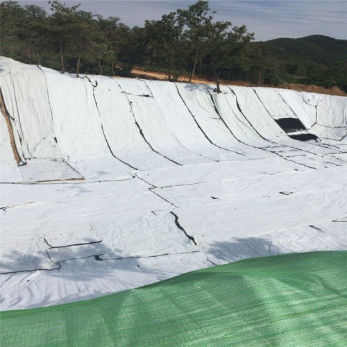 geotextile