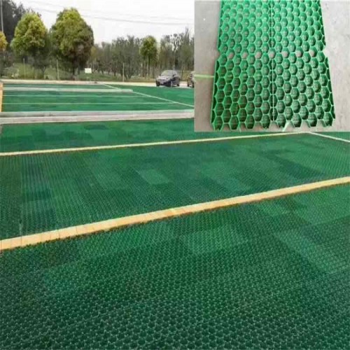 Plastic Grass Paver / landscape turf grass paver / grass grid for driveway