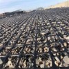 Biaxial Geogrid for Civil Engineering