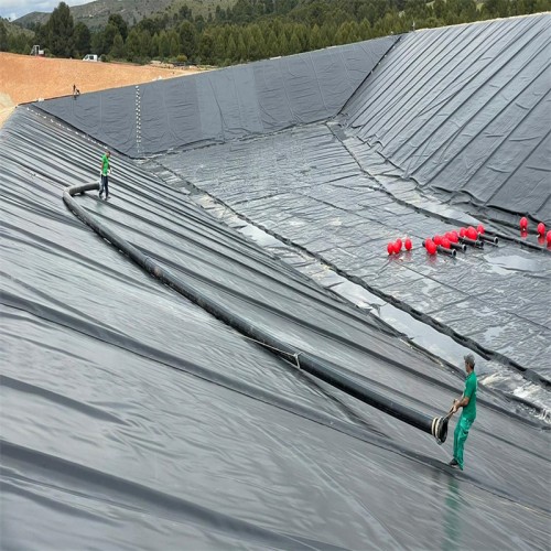 1mm HDPE LDPE geomembrane for fish farm pond liner