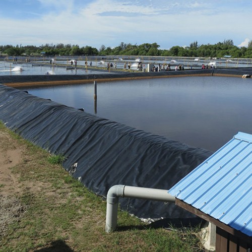 Factory price 0.5mm 0.75mm 1mm 1.5mm HDPE geomembrane waterproof plastic coating fish pond coating geomembrane