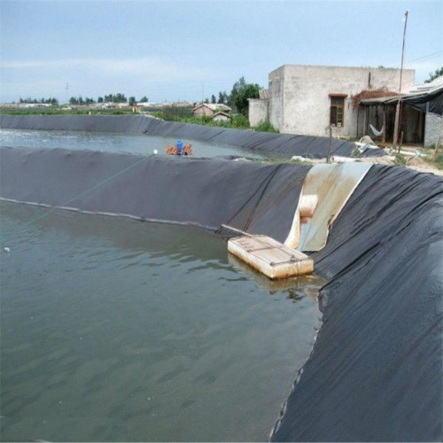 HDPE Geomembrane Impermeable Pond Liner Waterproof