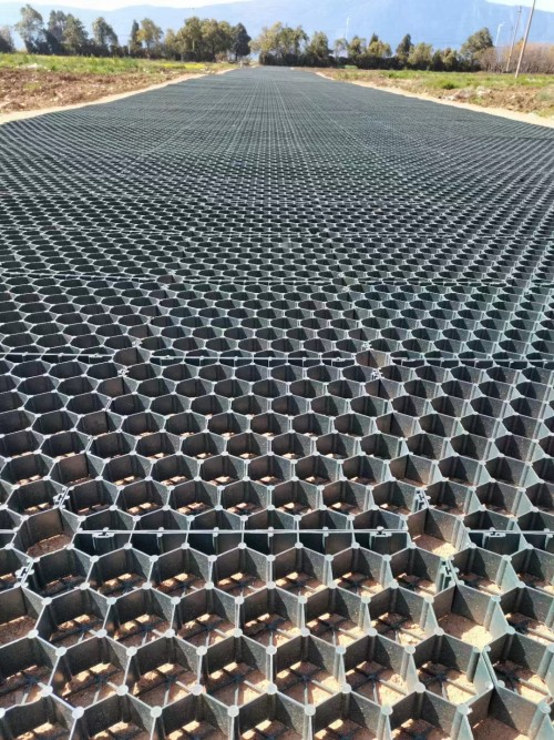 HDPE Grass Grids Pavers Plastic Paving Grid