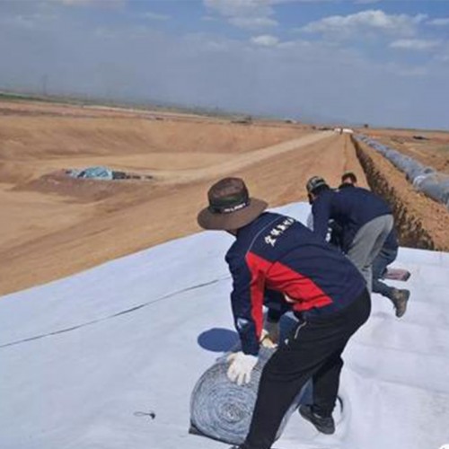 Building Material Geosynthetics PP Polypropylene Polyester Needle Punched Nonwoven Fabric Geotextile