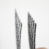 PP Biaxial 3030kn Geogrid for Roadbed Reinforcement