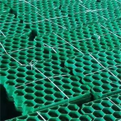 Plastic Gravel Stabilizer Grid Grass Paver Horse Paddock Grid Grass Paver Grid