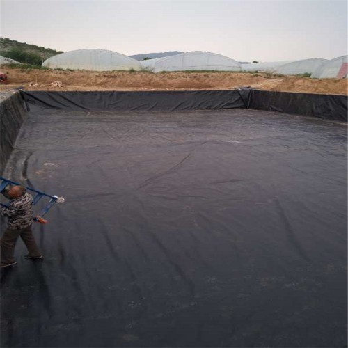 geomembrane