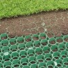HDPE Grass Grids Pavers Plastic Paving Grid for Driveway