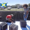 Plastic car driveway lawn paving reinforcement planting grass paver grid