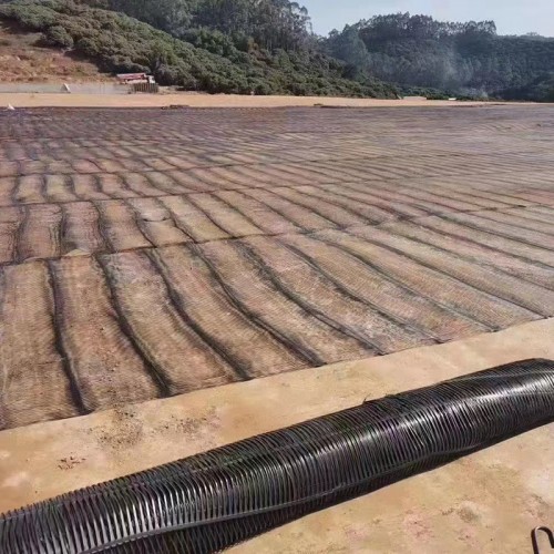 PP Uniaxial Plastic Geogrid/ PE One-Way Geogrid for Soil Reinforcement