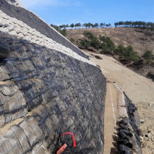 Uniaxial Geogrid/Plastic Mesh Low Price High Tensile Strength Plastic Materials High-Density Polypropylene HDPE Geogrid PP Uniaxial Geogrid