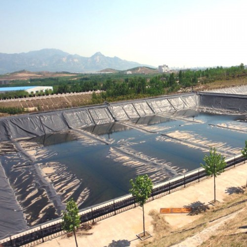 HDPE PVC 1mm Dam Pond Liner 1.5mm 2mm Landfill Biodigester Liners Geomembrane