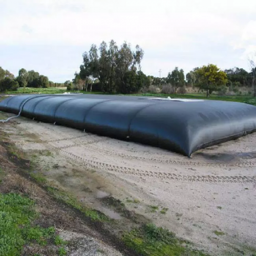 PP Geotube Marine Construction Shoreline Restored