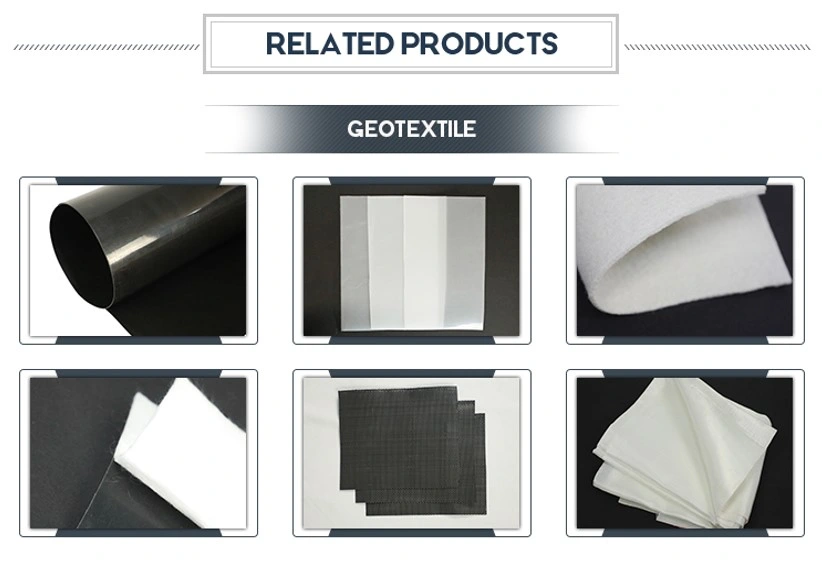 High Quality Low Price Polypropylene/Polyester Fabric Non Woven Geotextile for Road Construction