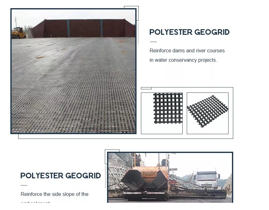 High Tensile Strength Geogrid Polyester Geogrid